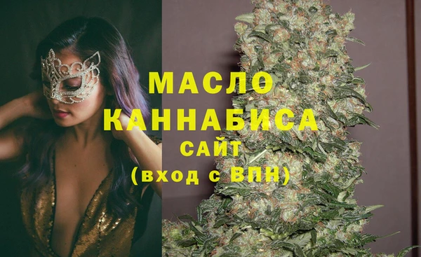 Альфа ПВП Белая Холуница