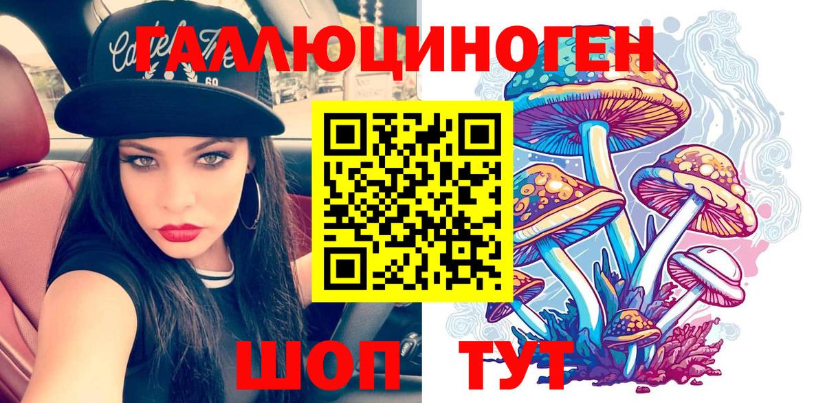 Галлюциногенные грибы MAGIC MUSHROOMS  Елабуга  купить наркоту  Галлюциногенные грибы Cubensis 