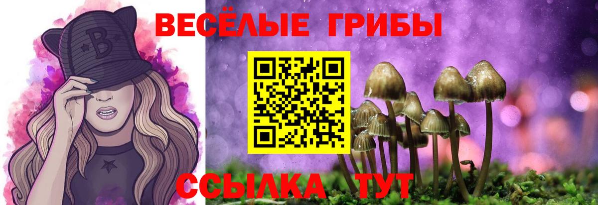 Псилоцибиновые грибы Cubensis Елабуга