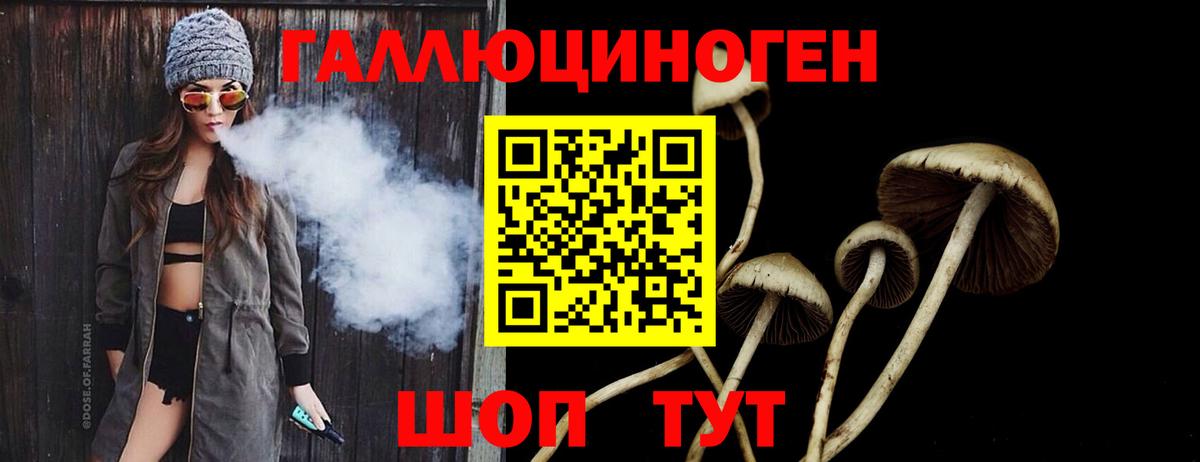 Елабуга  Галлюциногенные грибы Psilocybine cubensis  Вход с VPN  Галлюциногенные грибы Cubensis 